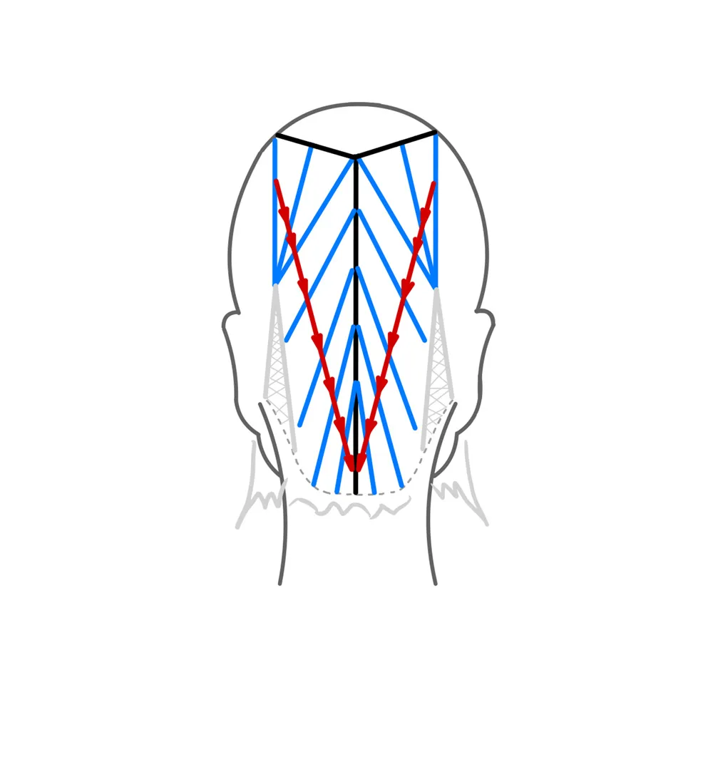 Cutting TECHNIQUE